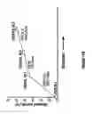 Fig. 13 - Cytochrome P450 oxygenases
