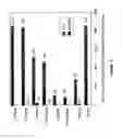 Fig. 26 - Cytochrome P450 oxygenases