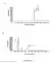 Fig. 27 - Cytochrome P450 oxygenases
