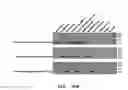 Fig. 45 - Metabolically enhanced cyanobacterium with sequentially inducible production genes for the production of a first chemical compound