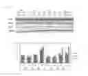 Fig. 09 - Medium composition for rejuvenating stem cells