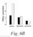 Fig. 09 - Methods and compositions for enhancing the efficacy and specificity of RNA silencing