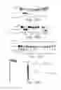 Fig. 22 - Methods and compositions for enhancing the efficacy and specificity of RNA silencing