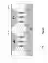 Fig. 07 - Package for three dimensional integrated circuit