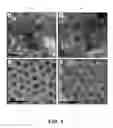Fig. 02 - NANOCOMPOSITE AND METHOD OF MAKING THEREOF