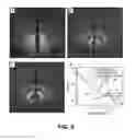 Fig. 06 - NANOCOMPOSITE AND METHOD OF MAKING THEREOF