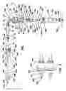 Fig. 02 - General aviation igniter cable assembly