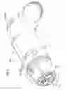 Fig. 03 - Electrical connector
