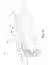 Fig. 41 - Coaxial cable connector having electrical continuity member