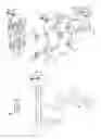 Fig. 05 - Shared Ground Multiple Socket