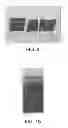 Fig. 08 - Non-fluorinated water-based superhydrophobic surfaces