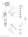 Fig. 04 - EMOTIONAL CONTROL METHODS AND APPARATUS