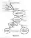 Fig. 02 - Determining telecommunication subscriber metrics