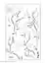 Fig. 07 - Mobile cellular network backhaul