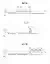 Fig. 03 - Method and apparatus for obtaining information of user equipment