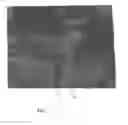 Fig. 04 - Virtual hunting devices and uses thereof