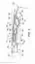 Fig. 04 - Lacrosse stick head