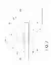 Fig. 08 - Non-lethal arrow