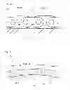 Fig. 04 - Chain transmission