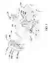 Fig. 04 - EXERCISE DEVICES WITH FORCE SENSORS