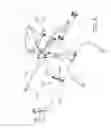 Fig. 07 - Standing traction device