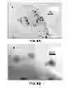 Fig. 10 - SUPPORTED METAL CATALYST AND METHOD OF MAKING THE CATALYST