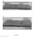 Fig. 03 - Highly efficient organic fertilizer and components thereof