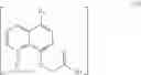 Fig. 21 - Process for the preparation of a quinoline carboxylic acid