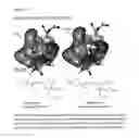 Fig. 02 - Use of strobilurin type compounds for combating phytopathogenic fungi resistant to QO inhibitors