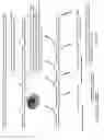 Fig. 06 - Multiple tagging of individual long DNA fragments