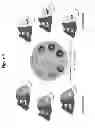 Fig. 06 - ANIMALS, REPERTOIRES & METHODS