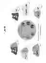 Fig. 07 - ANIMALS, REPERTOIRES & METHODS