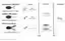 Fig. 01 - Multiplex hepatitis B assay
