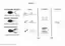 Fig. 02 - Multiplex hepatitis B assay