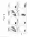 Fig. 03 - Flow cytometry assay methods