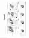 Fig. 04 - Flow cytometry assay methods