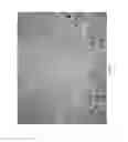 Fig. 07 - Haptens, hapten conjugates, compositions thereof preparation and method for their preparation and use