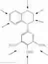 Fig. 173 - Haptens, hapten conjugates, compositions thereof preparation and method for their preparation and use