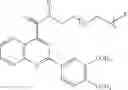 Fig. 181 - Haptens, hapten conjugates, compositions thereof preparation and method for their preparation and use