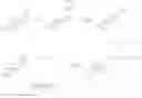 Fig. 216 - Haptens, hapten conjugates, compositions thereof preparation and method for their preparation and use