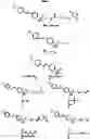 Fig. 231 - Haptens, hapten conjugates, compositions thereof preparation and method for their preparation and use