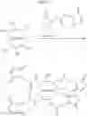 Fig. 237 - Haptens, hapten conjugates, compositions thereof preparation and method for their preparation and use