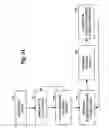 Fig. 32 - Sensitive and rapid determination of antimicrobial susceptibility