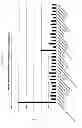 Fig. 11 - Methods and Compositions for the Treatment and Diagnosis of Bladder Cancer