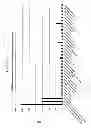 Fig. 16 - Methods and Compositions for the Treatment and Diagnosis of Bladder Cancer