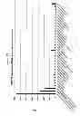 Fig. 24 - Methods and Compositions for the Treatment and Diagnosis of Bladder Cancer