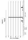 Fig. 34 - Methods and Compositions for the Treatment and Diagnosis of Bladder Cancer