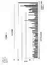 Fig. 40 - Methods and Compositions for the Treatment and Diagnosis of Bladder Cancer