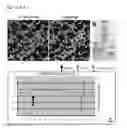 Fig. 08 - EXPRESSION OF G-PROTEIN COUPLED RECEPTORS (GPCRs)