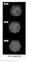 Fig. 14 - CELL-BASED ARRAYS, METHODS OF MAKING, AND METHODS OF USING